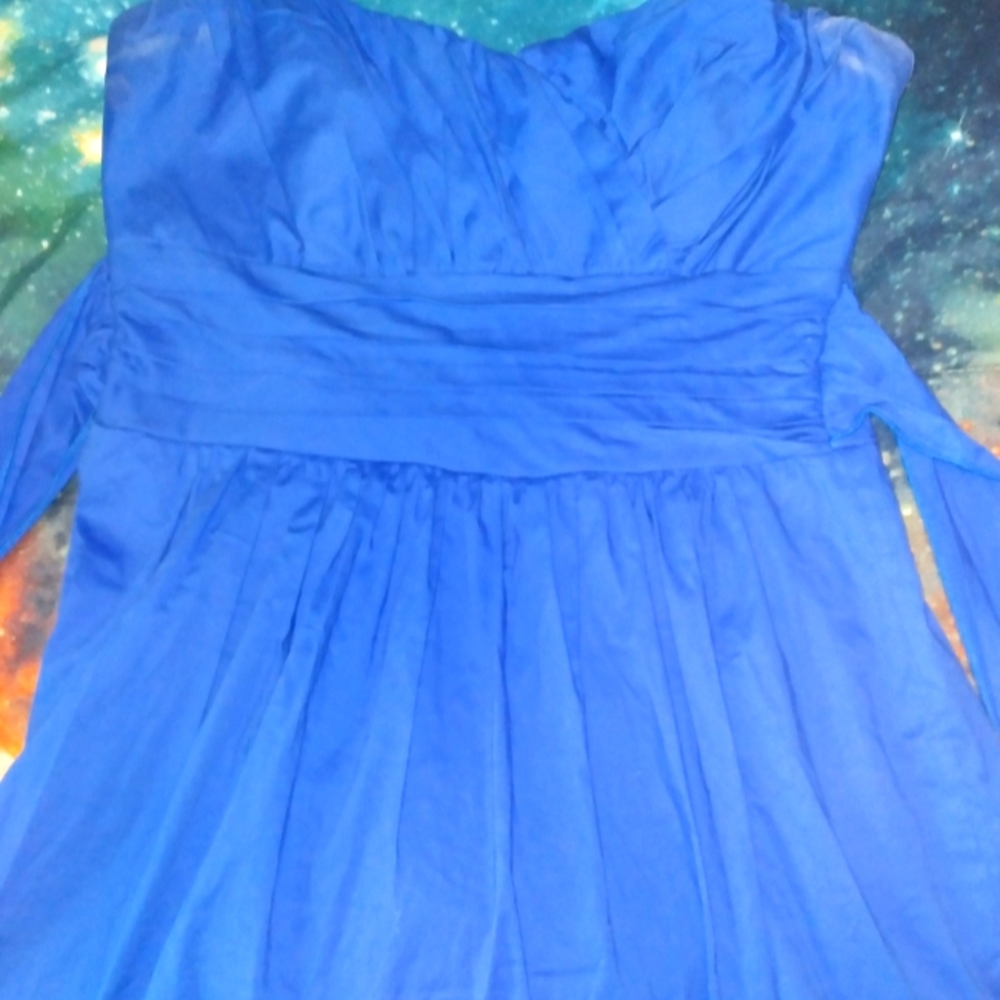 Blue Strapless Padded Dress (9)